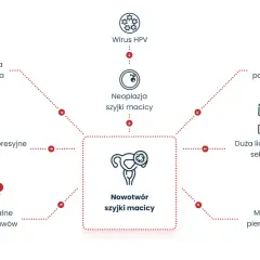 Wirus HPV to przyczyna nowotworu szyjki macicy. Czynniki ryzyka: palenie, duża liczba partnerów, młody wiek ciąży, leki immunosupresyjne, waginoza, reumatoidalne zapalenia stawów.