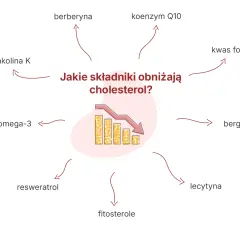 Monakolina K i inne składniki, jak berberyna czy kwasy omega-3, pomagają obniżać cholesterol. Schemat pokazuje ich wpływ na spadek poziomu cholesterolu.