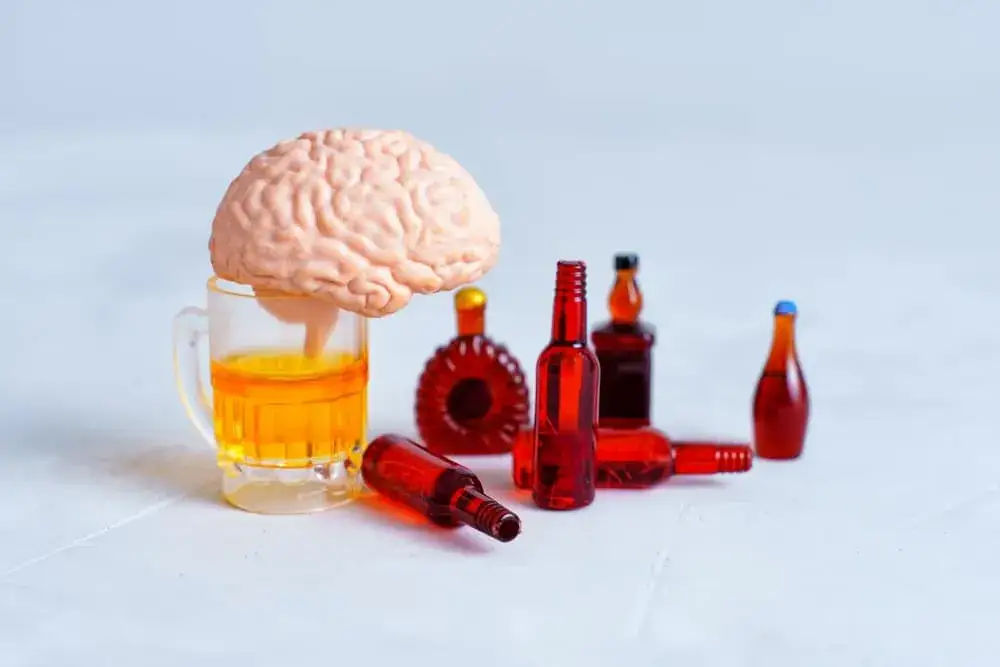 Alkohol wpływ na m&oacute;zg neuroprzekaźniki