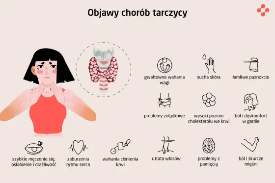 Gdzie jest tarczyca i jakie objawy powinny niepokoić?